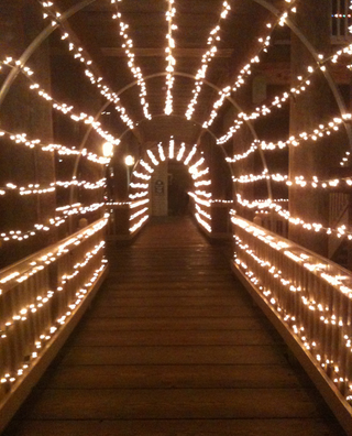 Illustration for article titled Photo Contest: Christmas Lights